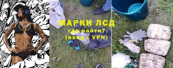 индика Алексин