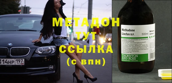 индика Алексин