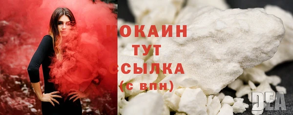 винт Абаза