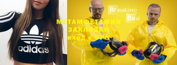 индика Алексин