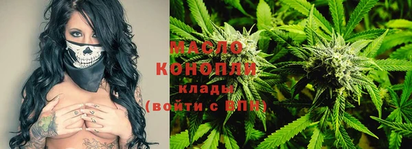 сатива Алзамай