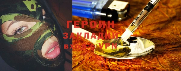 индика Алексин