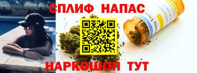 прущие грибы Малоярославец