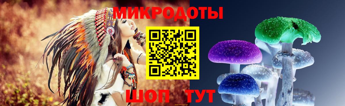 Псилоцибиновые грибы мицелий  Псилоцибиновые грибы Cubensis  Шадринск  Вход с VPN 