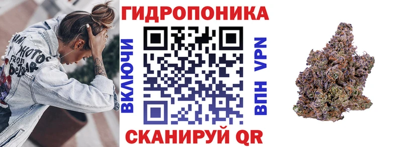 дарнет шоп  Шадринск  Шишки марихуана SATIVA & INDICA 